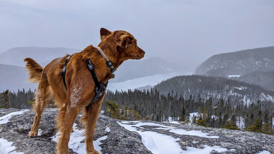 trekking
