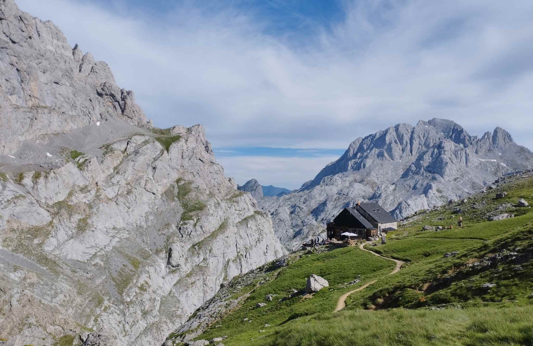 Anillo de picos. Ananda Liébana