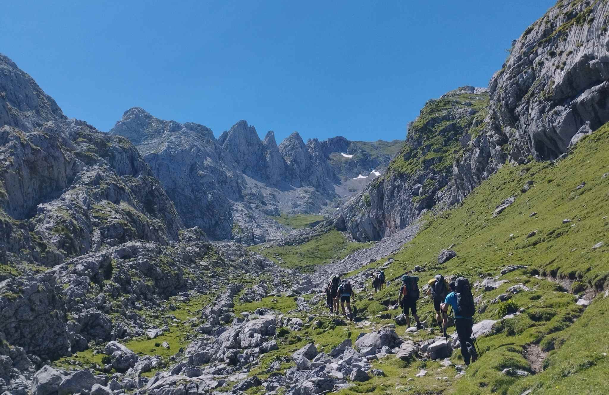 Anillo de picos. Ananda Liébana