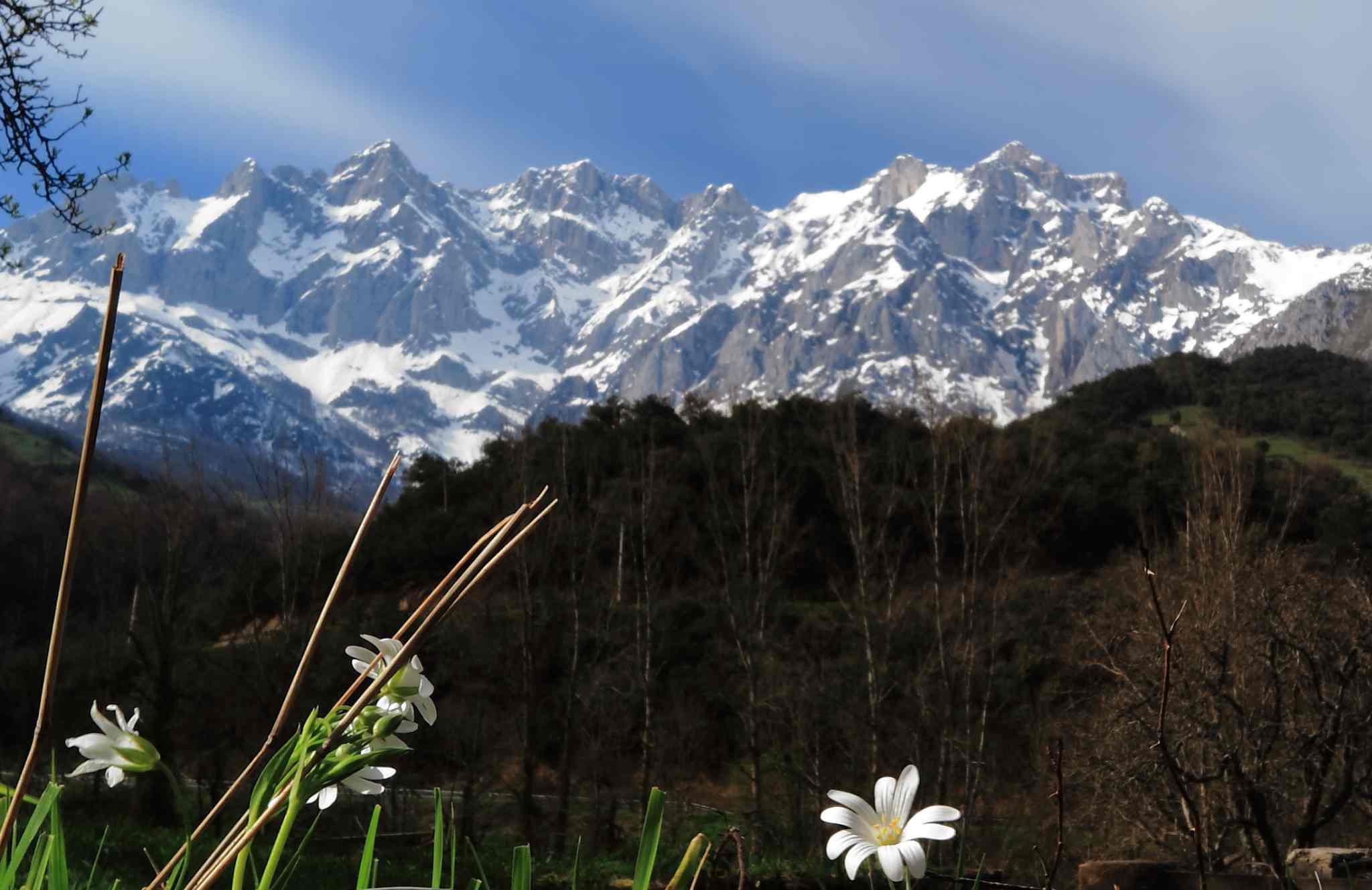 Ananda Liebana Actividades