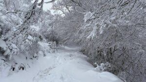 raquetas de nieve ananda
