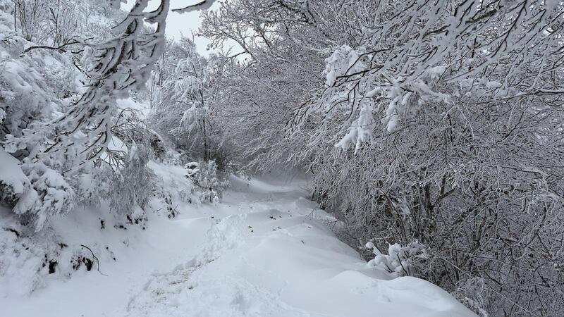 raquetas de nieve ananda