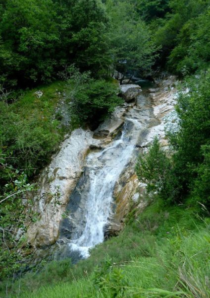 Navedo