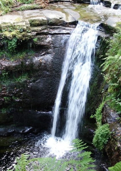 Aján